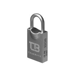فلش مموری 16 گیگابایت تروبایت مدل Truebyte T2 با گارانتی مادام العمر شرکتی